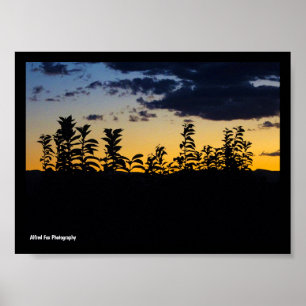 Silhouette of Leaves at Night Poster