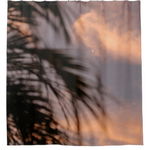 Silhouette of palm tree