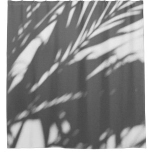 Silhouette of palm tree