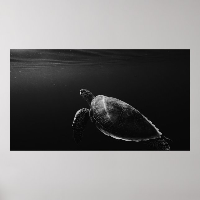 SILHOUETTE OF SEA TURTLE UNDERWATER POSTER (Front)