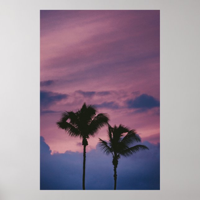 Silhouette of tree during sunset poster (Front)