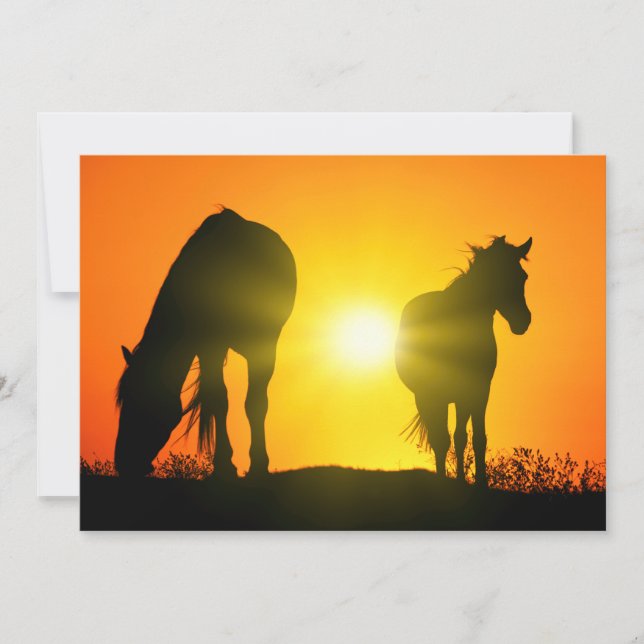 Silhouette of Two Horses at Sunset (Front)