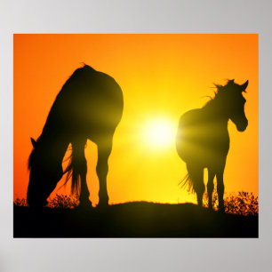 Silhouette of Two Horses at Sunset Poster