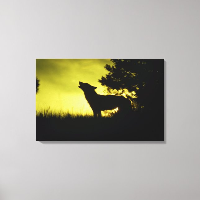 Silhouette of wolf howling canvas print (Front)