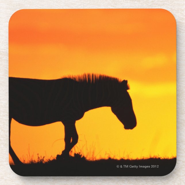 Silhouette of zebra on savanna coaster (Front)