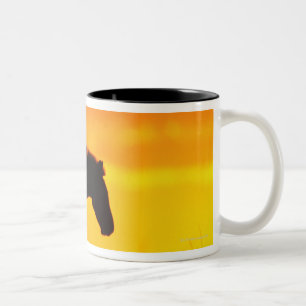 Silhouette of zebra on savanna Two-Tone coffee mug