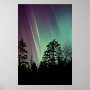 SILHOUETTE PHOTO OF AURORA BOREALIS POSTER