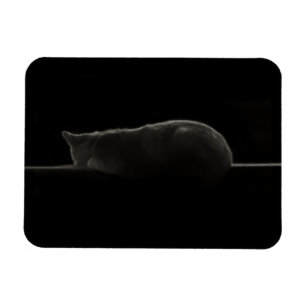 Silhouette Sleeping Cat Magnet