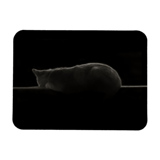Silhouette Sleeping Cat Magnet (Horizontal)