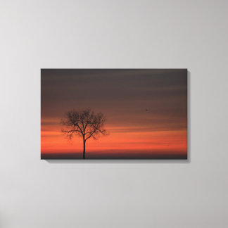 Silhouette Tree Stretched Canvas Print