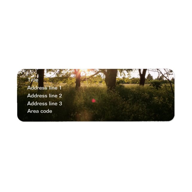 Silhouette Trees & Sunlight Wedding Address Labels (Front)