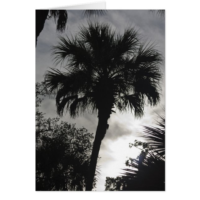 Silhouette tropicale (Devant)