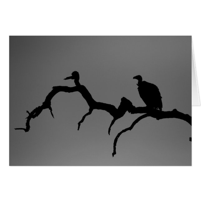 Silhouette vautour (Devant horizontal)