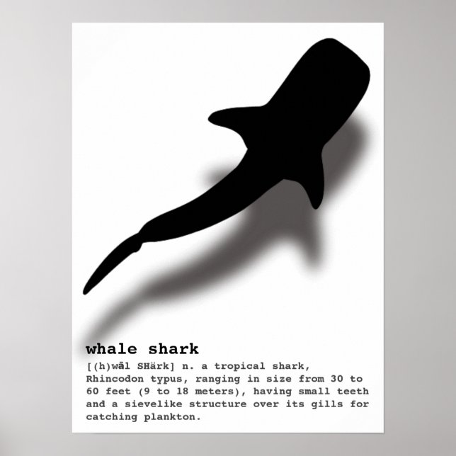 Silhouette Whale Shark with Definition Beach Poster (Front)