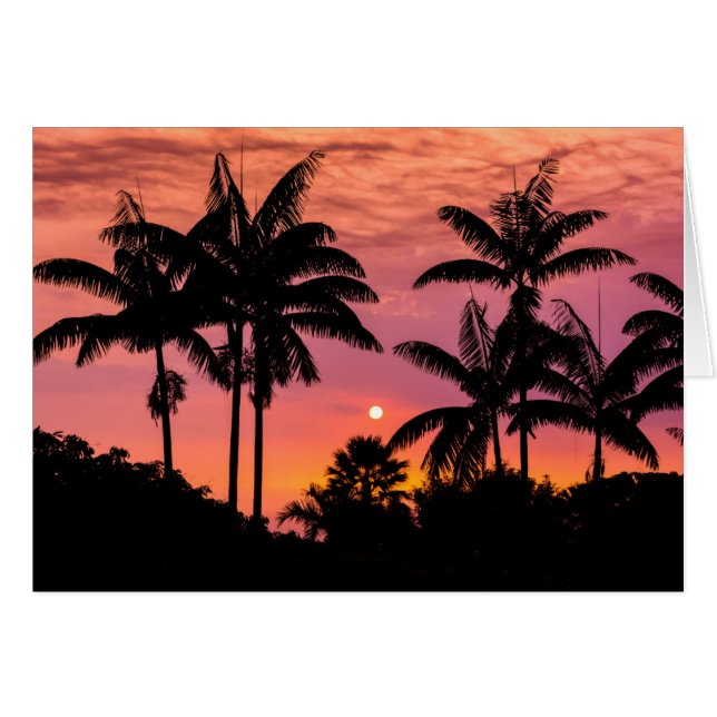 Silhouetted palm trees, Hawaii (Front Horizontal)