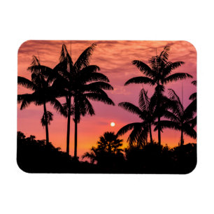 Silhouetted palm trees, Hawaii Magnet