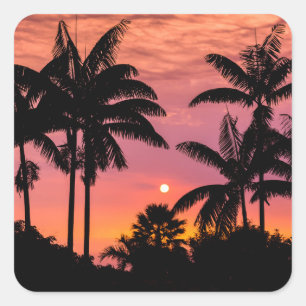 Silhouetted palm trees, Hawaii Square Sticker