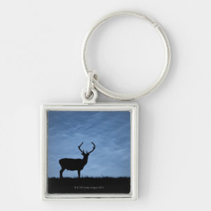 Silhouetted Red Deer Stag at Night Keychain