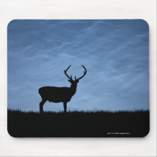 Silhouetted Red Deer Stag at Night Mouse Pad