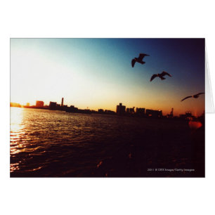 Silhouetted Tokyo Bay skyline at sunset