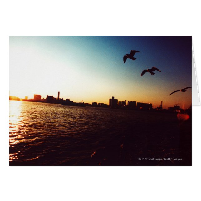 Silhouetted Tokyo Bay skyline at sunset (Front Horizontal)
