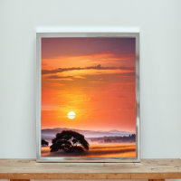 Silhouetted Tree at Sunset