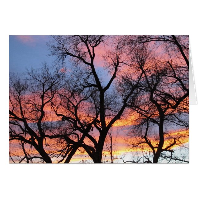 Silhouettes d'arbre au crépuscule (Devant Horizontal)