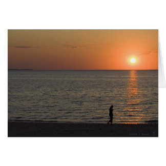 Silhouettes de coucher du soleil