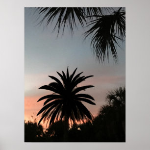Silhouettes of palm fronds at sunset poster