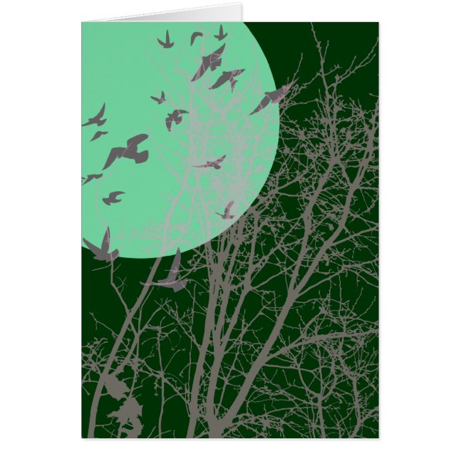 silhouscreen birds (Front)