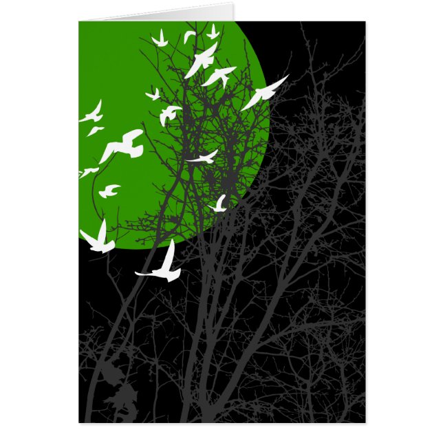 silhouscreen birds (Front)