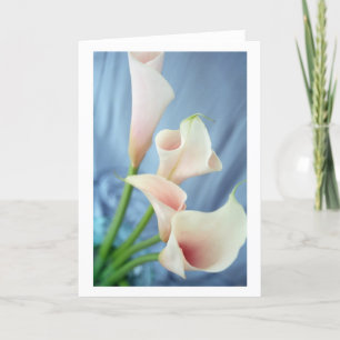 Silk Parade White Calla Lily Greeting Cards