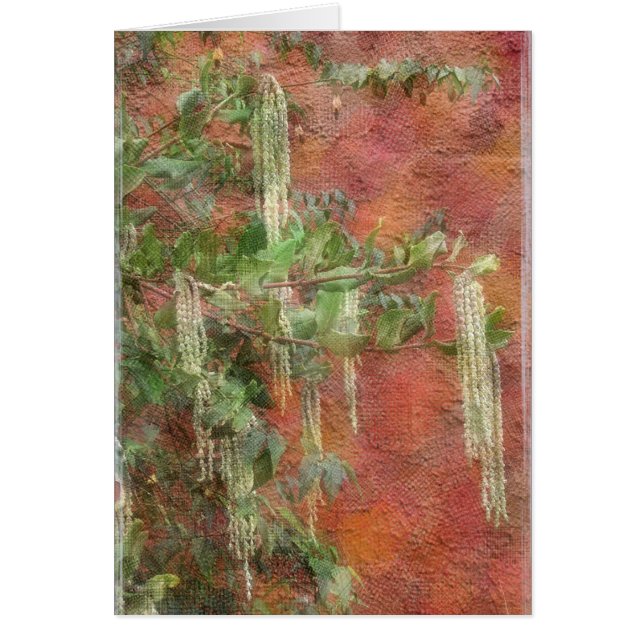 Silk Tassel Tree - Card (Front)