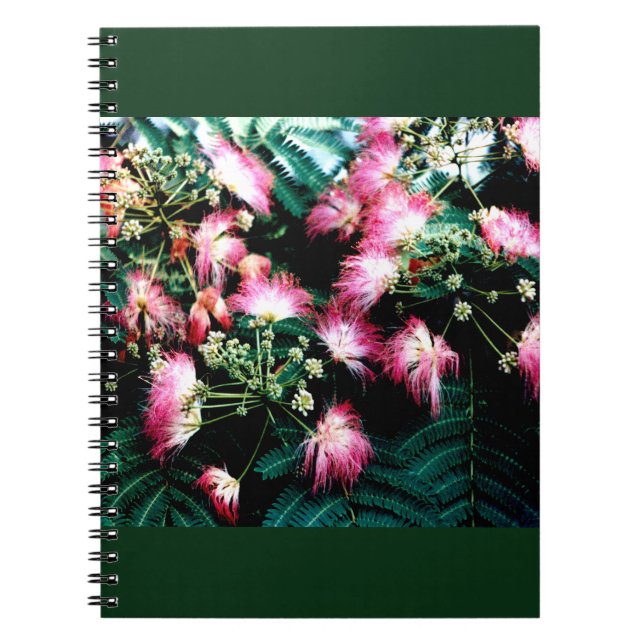 Silk Tree Notebook (Front)
