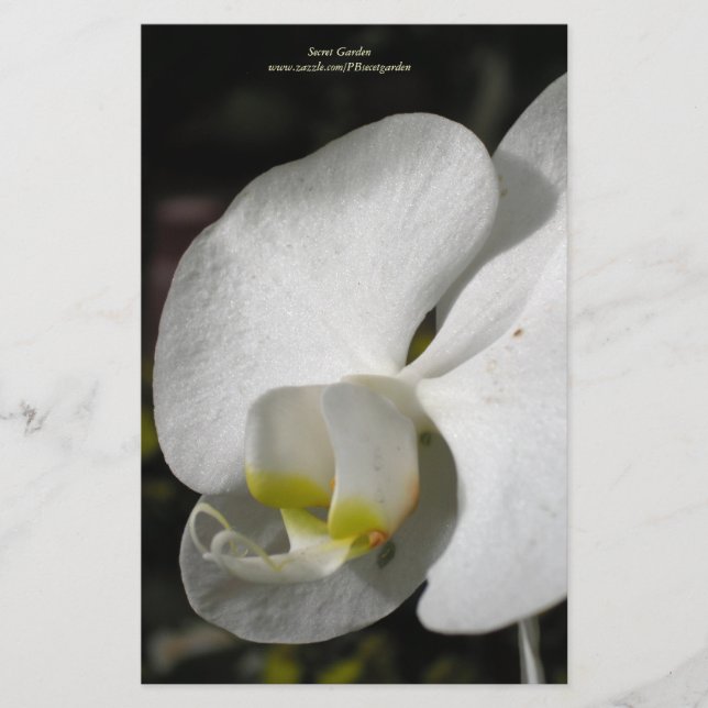 Silk White Orchid Personalized Staionery Stationery (Front)