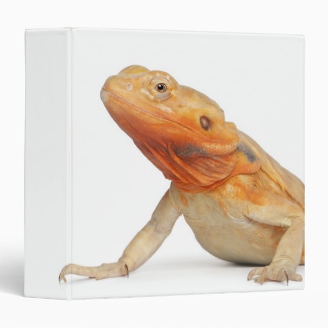 SilkBacks scaleless Bearded Dragon - Pogona Binder (Front/Spine)