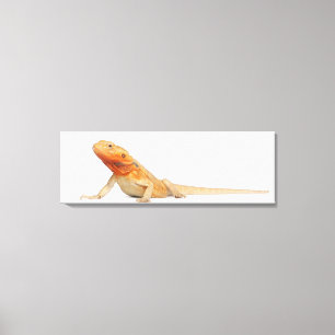 SilkBacks scaleless Bearded Dragon - Pogona Canvas Print