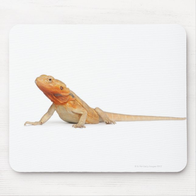 SilkBacks scaleless Bearded Dragon - Pogona Mouse Pad (Front)