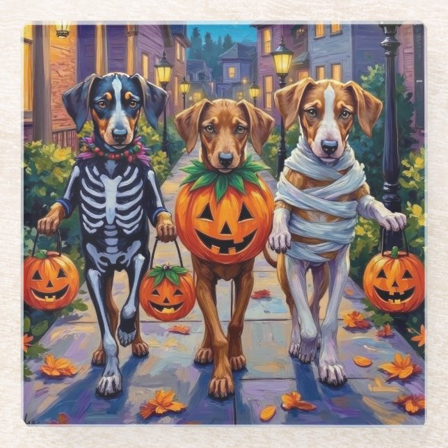 Silken Windhound Dogs in Halloween Costumes Glass Coaster (Front)