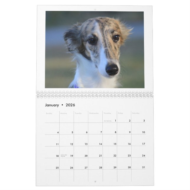 Silken Windhound Puppies 2013 Calendar (Jan 2026)