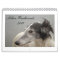 Silken Windhounds 2013-2