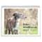 Silken Windhounds 2013