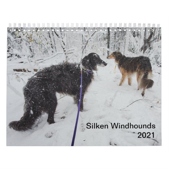 Silken Windhounds 2021 Multiple Adults Calendar (Cover)