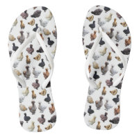 Silkie Bantam Chickens