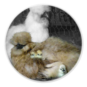 Silkie Hens with Chicks Peeking out of Feathers Ceramic Knob