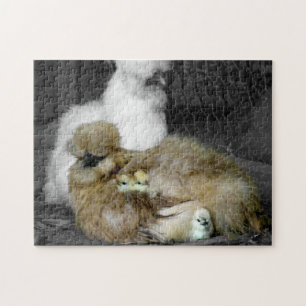 Silkie Hens with Chicks Peeking out of Feathers Jigsaw Puzzle