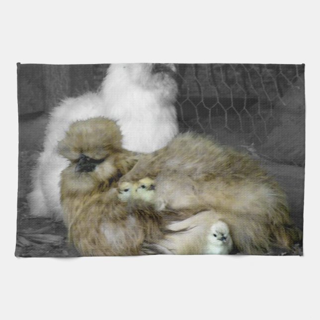 Silkie Hens with Chicks Peeking out of Feathers Kitchen Towel (Horizontal)