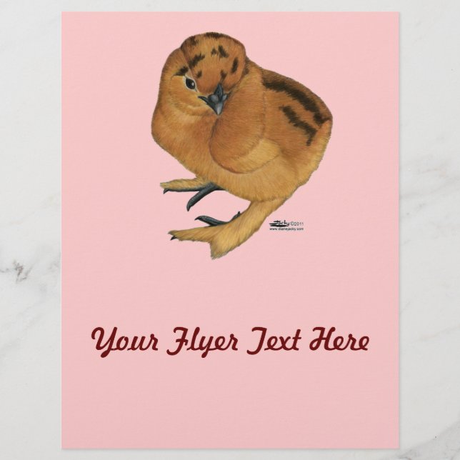 Silkie Red Chick Flyer (Front)