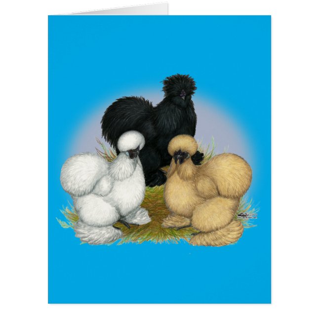 Silkie Trio (Devant)