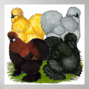 Silkies:  Assorted Roosters Poster